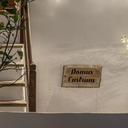 Domus Castrum
